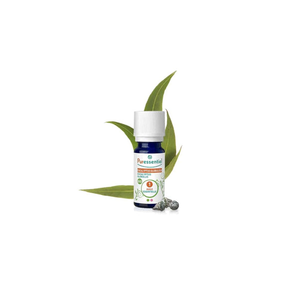 PURESSENTIEL Eucalyptus globular BIO - 10 ml